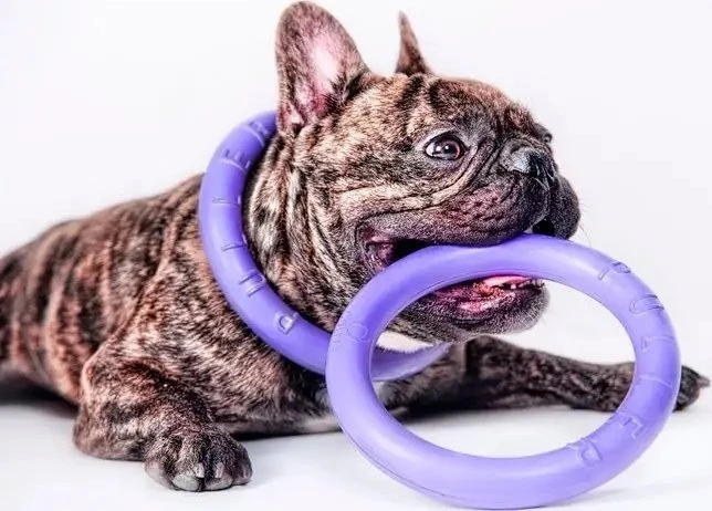 Šuns įrankis Puller Midi Waudog 19.5 cm