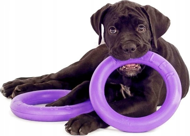 Šuns įrankis Puller Midi Waudog 19.5 cm
