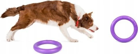 Šuns įrankis Puller Midi Waudog 19.5 cm