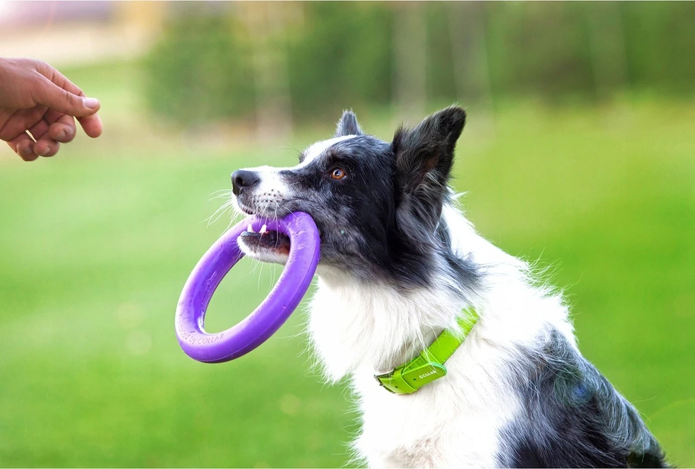 Šuns įrankis Puller Midi Waudog 19.5 cm
