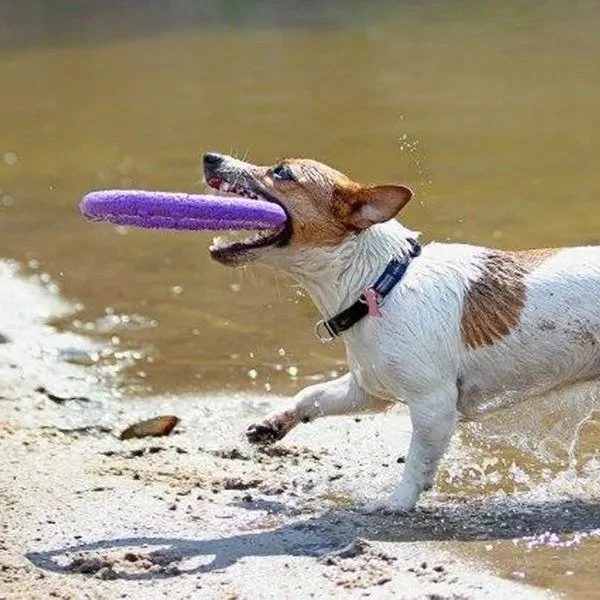 Šuns įrankis Puller Midi Waudog 19.5 cm
