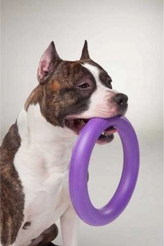 Šuns įrankis Puller Midi Waudog 19.5 cm