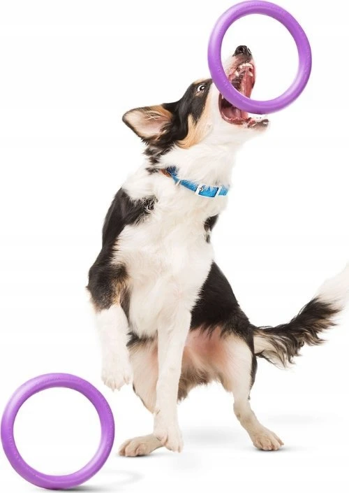 Šuns įrankis Puller Midi Waudog 19.5 cm