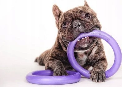 Šuns įrankis Puller Mini Waudog 18 cm