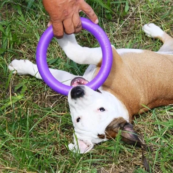 Šuns įrankis Puller Mini Waudog 18 cm