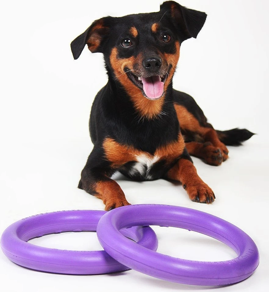 Šuns įrankis Puller Mini Waudog 18 cm