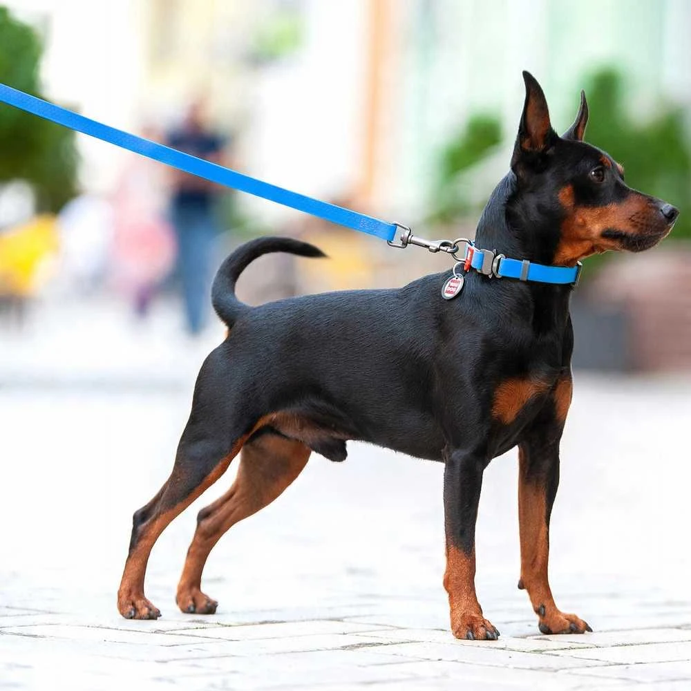 Collar WAU DOG Antkaklis SMYCZ WATERPROOF 2,0/305cm PVC Mėlyna