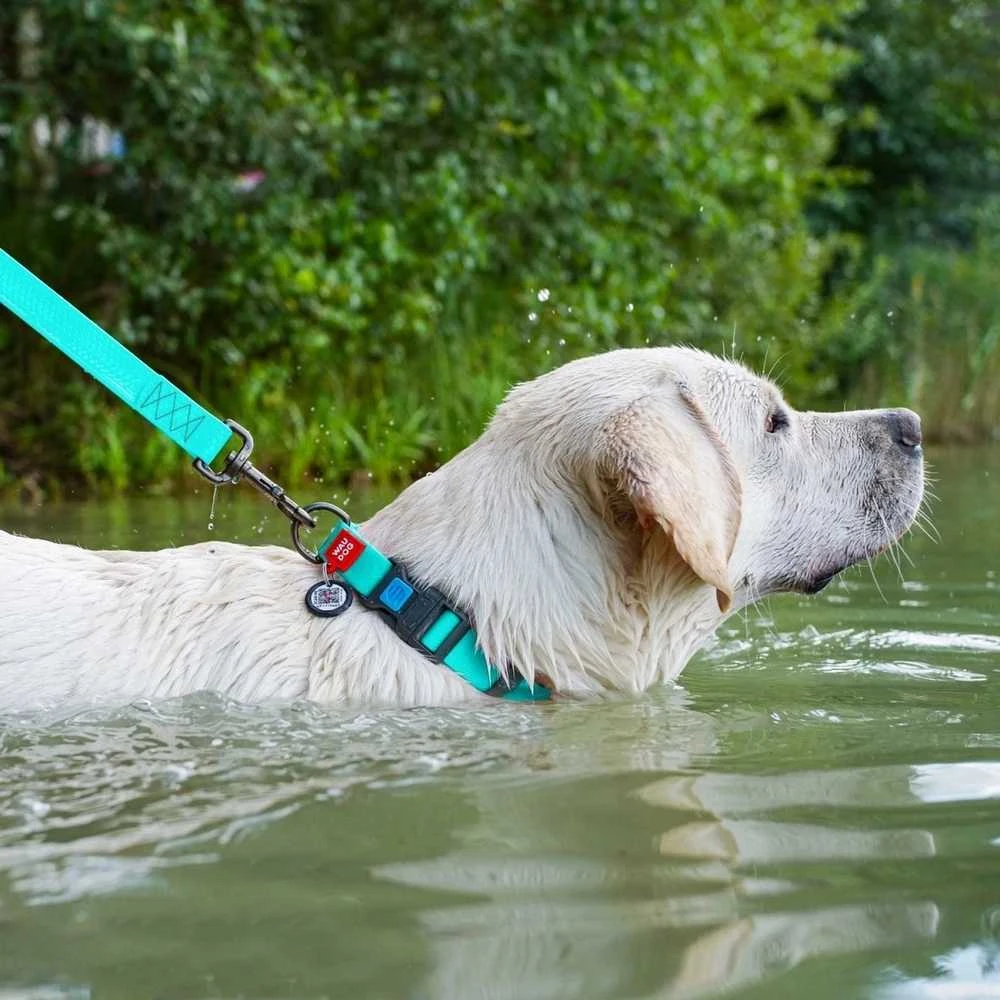 Collar WAU DOG Antkaklis SMYCZ WATERPROOF 2,0/305cm PVC ŠVIEČIANTIS TAMSOJE