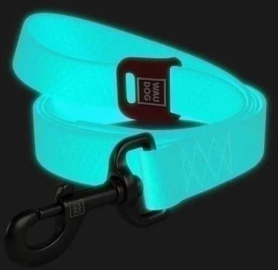 Collar WAU DOG Antkaklis SMYCZ WATERPROOF 2,0/305cm PVC ŠVIEČIANTIS TAMSOJE