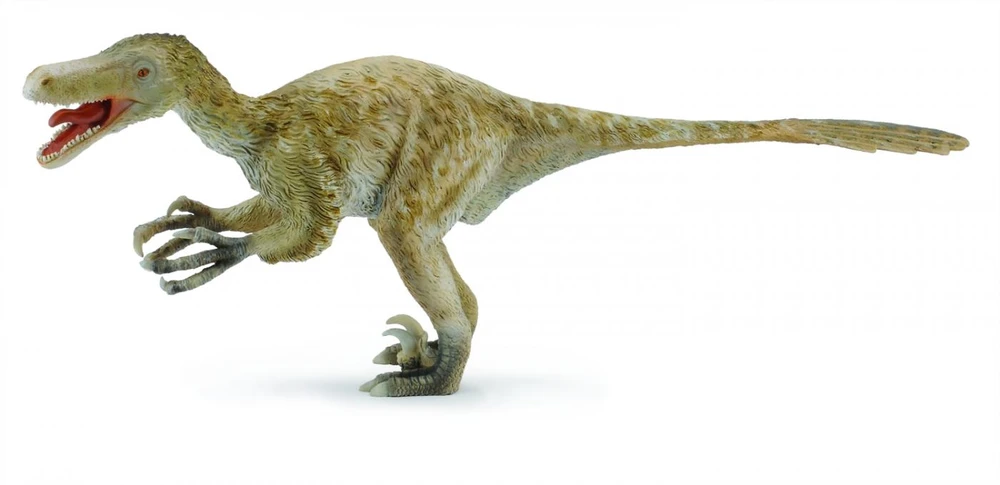 Collecta Figūrėlė - Velociraptorius aprašymas - Prekės nuotrauka