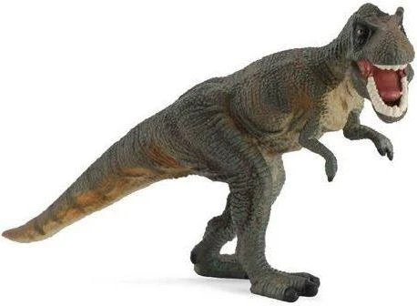 Collecta Figūrėlė Tyranozauras REX (L)