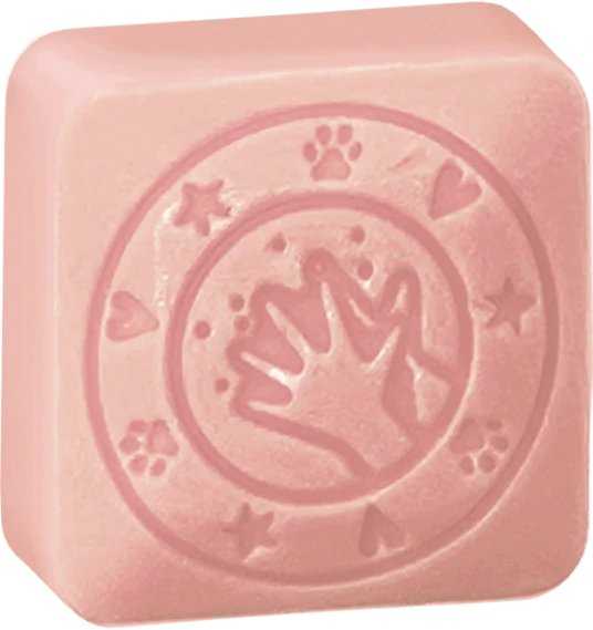 Colop COLOP little NIO Cleany Stamp Leo retail