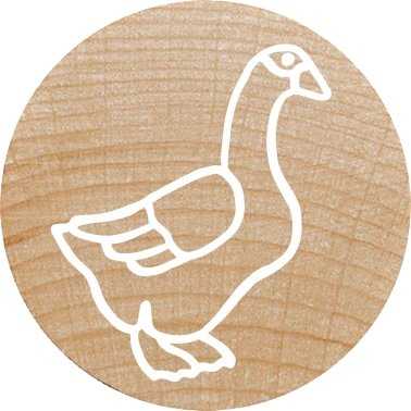 Colop WOODIES Antspaudų rinkinys „Farm Animation" mažmeninei prekybai