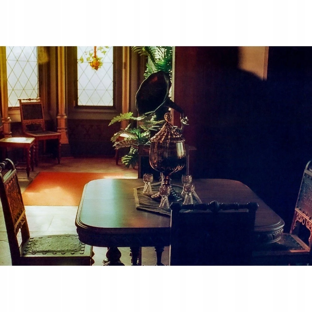 Colorovo Fotografijos filmas - KONO Film Delight ART II 400 36 ekspozicijų spalvota neigiama