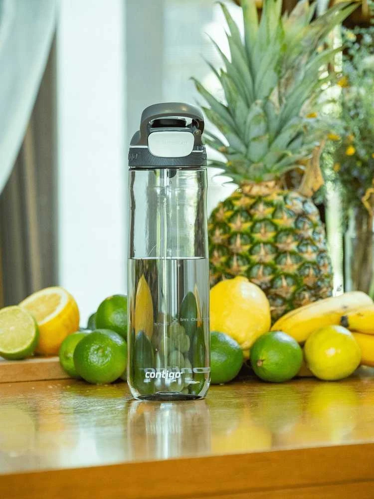 Contigo Gertuvė Cortland Smoke CON2191388, 720 ml