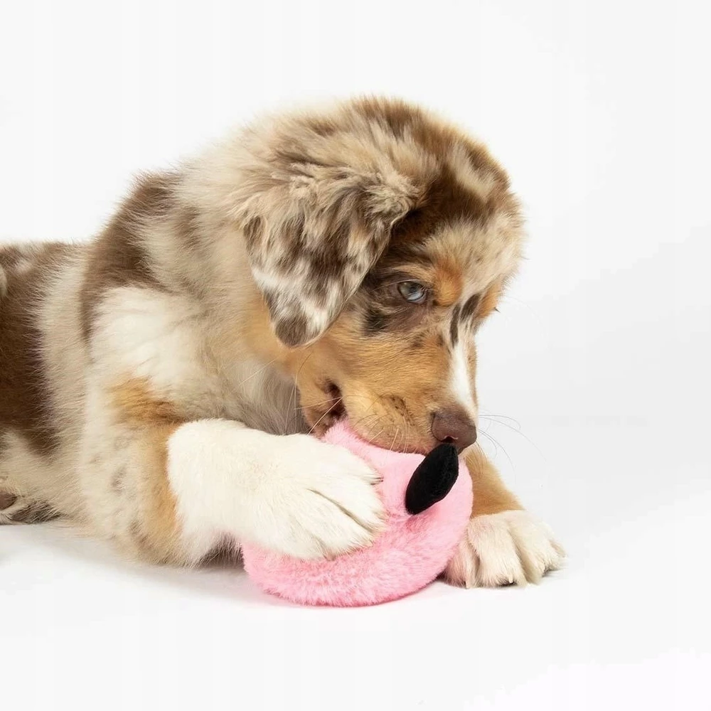 COOCKOO Bouncy Buddy rožinė 17cm (309/488478)