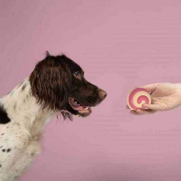 COOCKOO COOCKOO žaislas šuniui GUMOWA BERRY SWIRL 7,5cm