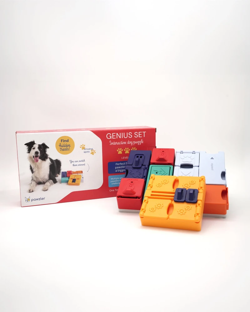 Cooper & Pals Pawzler Genius - modulinių žaislų rinkinys šuniui, skatinantis vystymąsi - 3 lygis