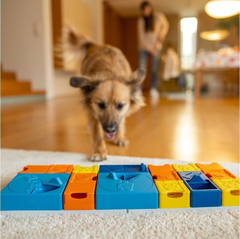 Cooper & Pals Pawzler Rainbow - komplektas modułowych zabawek šuniui wspierających rozwój - poziomy 1-3