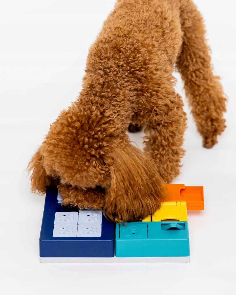 Cooper & Pals Pawzler Smarty - modulinių žaislų šuniui komplektas, skirtas vystymuisi skatinti - 2-3 lygiai