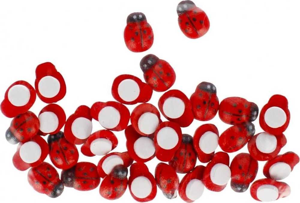 Craft With Fun Dekoratyvinės medinės boružėlės lipnios 13 mm, 35 vnt.