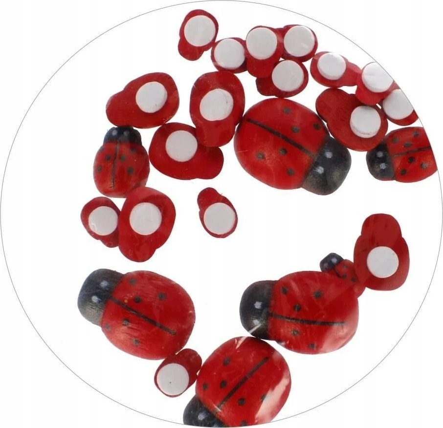 Dekoracija iš medžio CRAFT with FUN Ladybirds, lipni, 24 vnt., įvairių dydžių