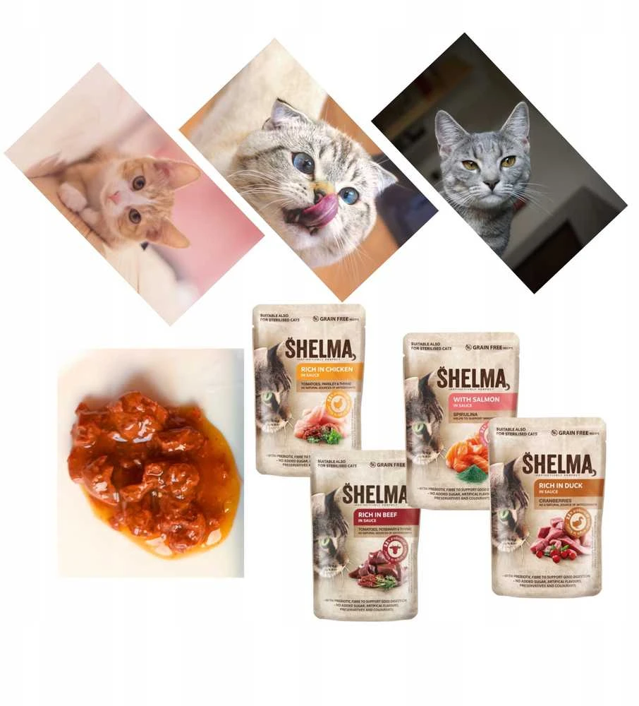 SHELMA with kalakutiena, duck, vištiena and jautiena in sauce – šlapias kačių maistas – 12x85g