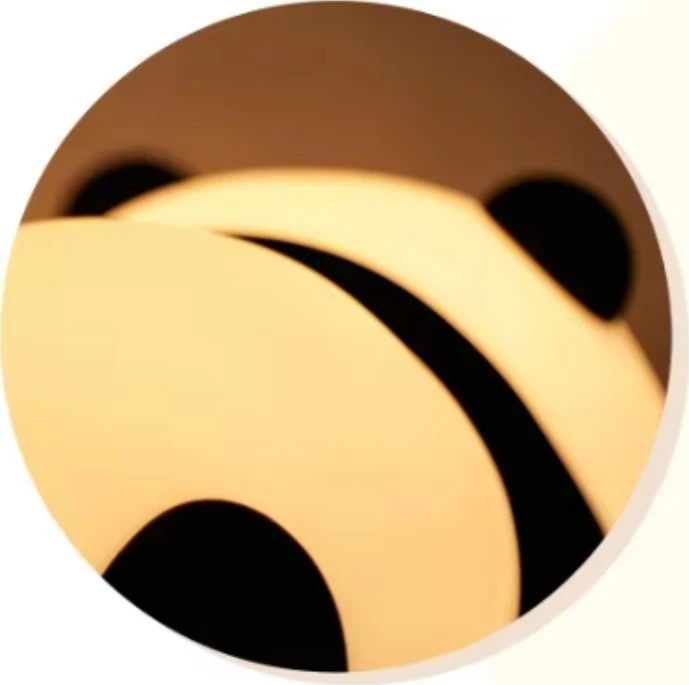 Creative LED LEMPUTĖ PANDA SILIKONINĖ 1W VAIKAMS