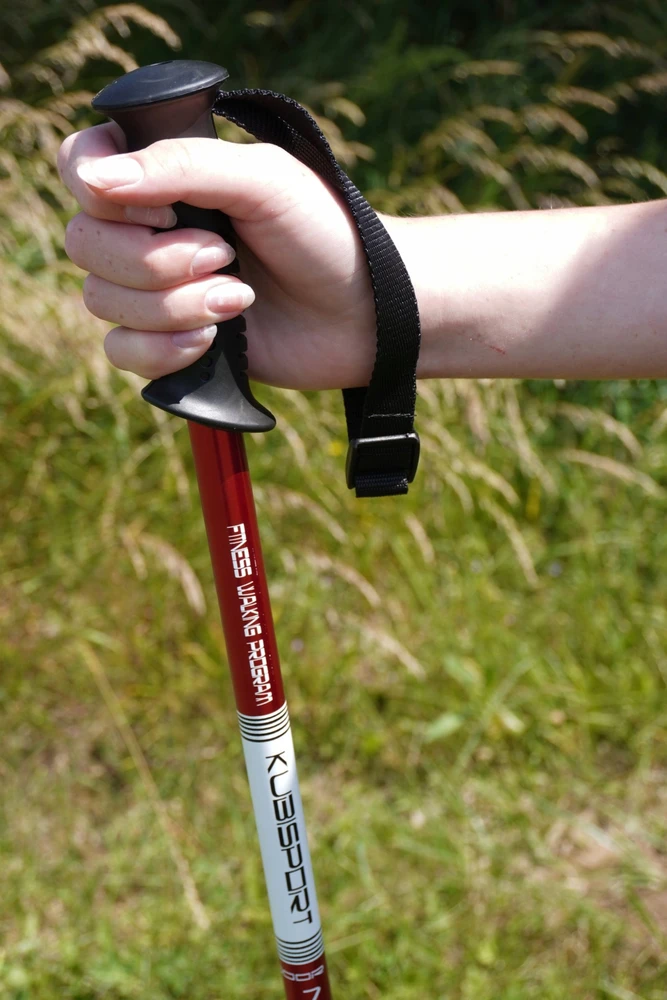 CRIVIT sulankstomos, reguliuojamo ilgio, šiaurietiško ėjimo lazdos KUBISPORT 65–135 cm