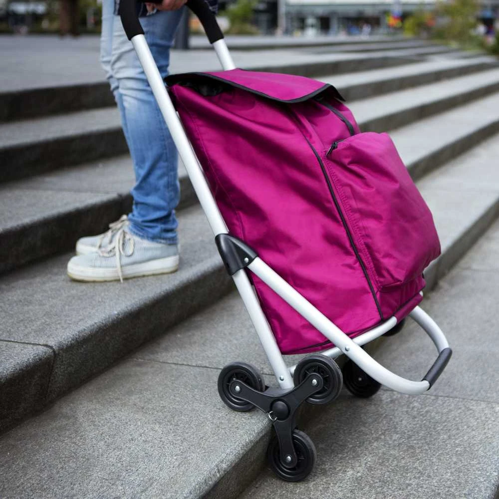 Kelioninis Aktivo Ekspertinė Premium 604353 Pirkinių Vežimėlis
