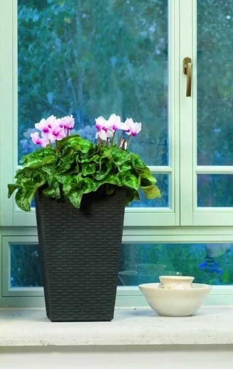 Curver Rattan Planter S 23,6 L ruda 228977