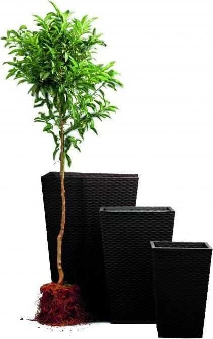 Curver Rattan Planter S 23,6 L ruda 228977