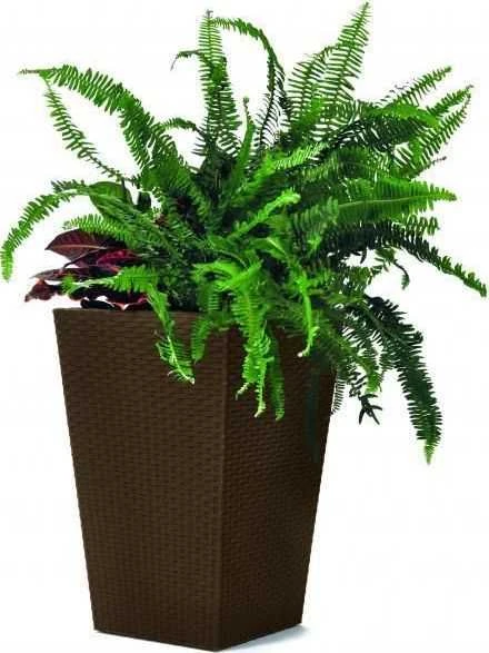Curver Rattan Planter S 23,6 L ruda 228977