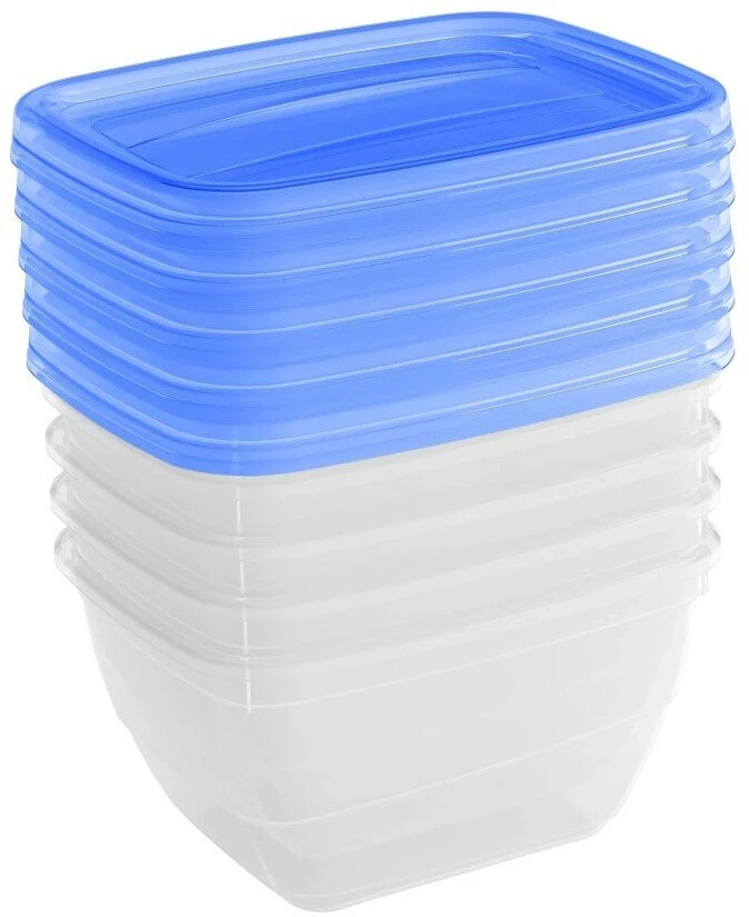 Curver Set of food dishes rectangular 5x0.25L Vedo transparent mėlynas