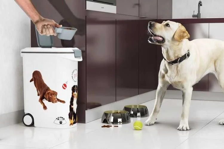 Curver Kreivė | Pet Life šunų ėdalo konteineris, 10 kg | Baltas