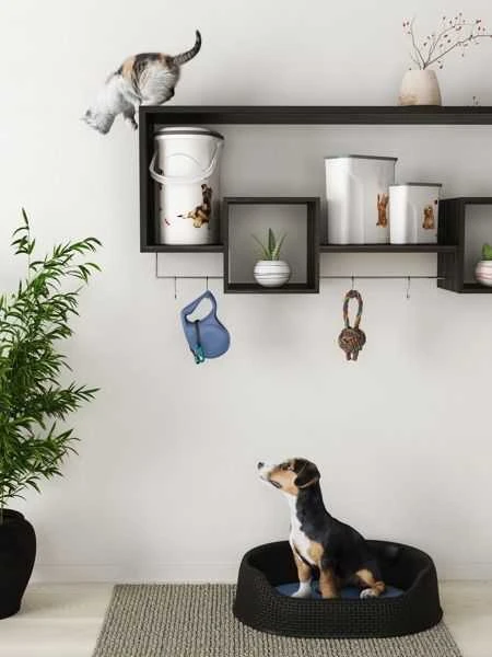 Curver Kreivė | Pet Life šunų ėdalo konteineris, 10 kg | Baltas