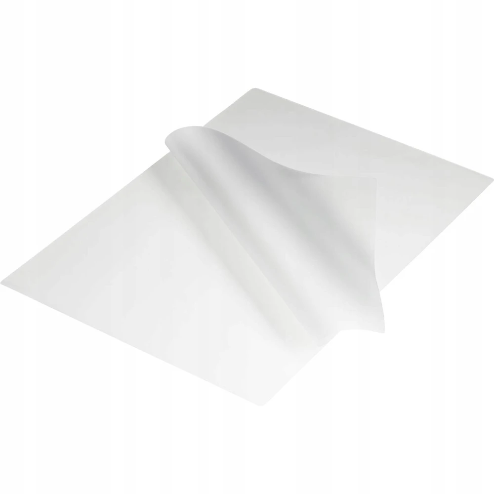 Erwin Muller DAHLE Laminavimo kišenės A4 250mi 100 vnt. 213x303mm/2x125mikronų/ 100 vnt. pakuotė