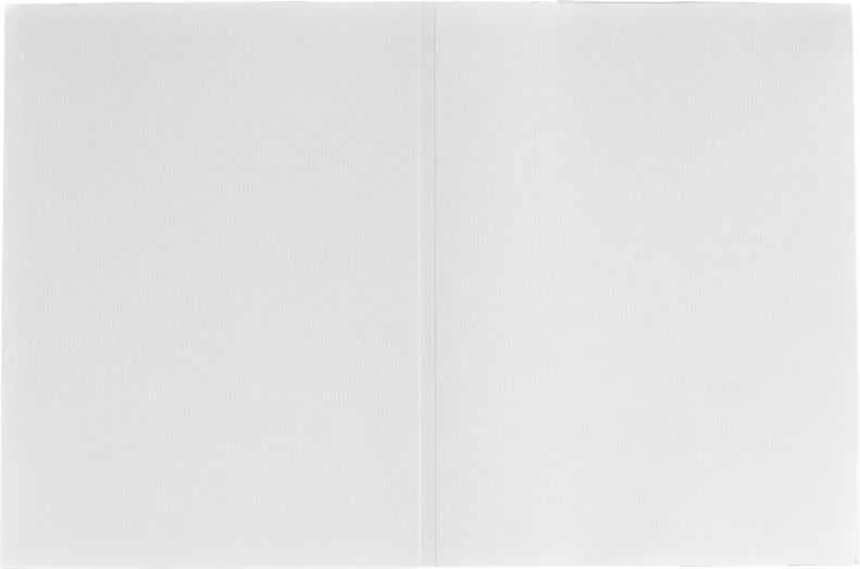 Nuotraukų rėmelis 1x100 Daiber Portrait aplankai Profi-Line 10x15 balti matiniai