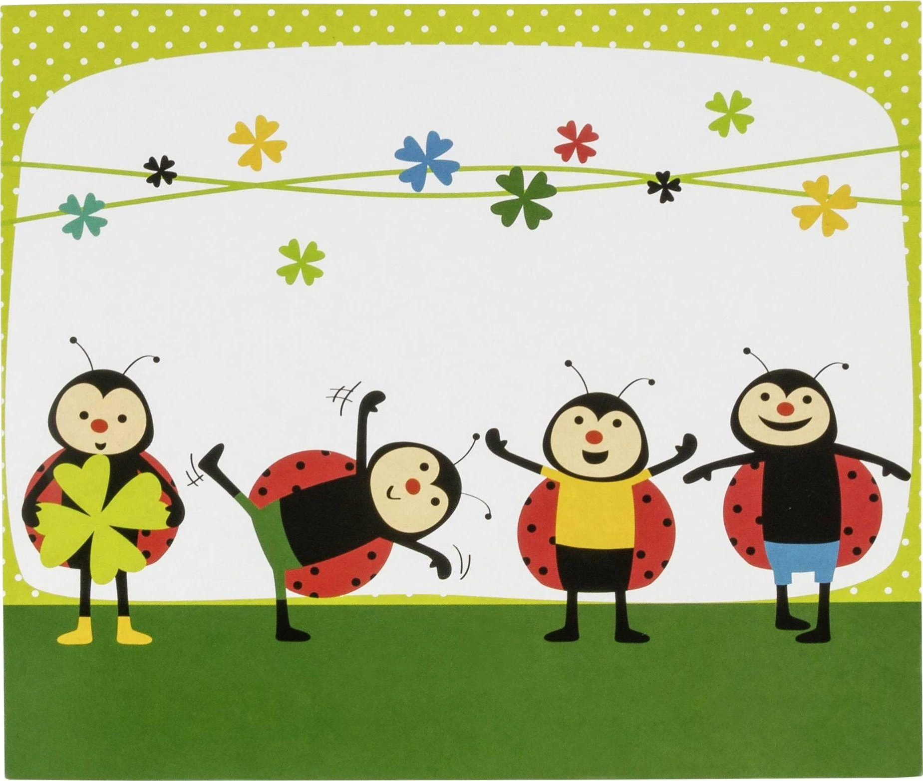 Nuotraukų rėmelis 1x25 Daiber Ladybug 13x18 Vaikų portretų aplankai 13308