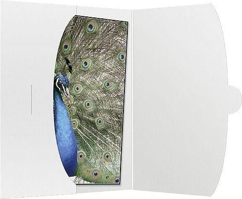 Nuotraukų rėmelis 1x50 Daiber Cover 15x20 baltas