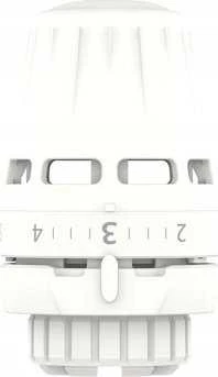 Danfoss Termostatinė galva 015G3630, REGUS M30