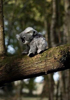 Dantė Koala su vaiku