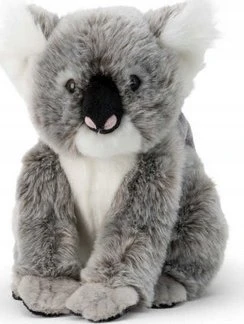 Dantė Koala su vaiku