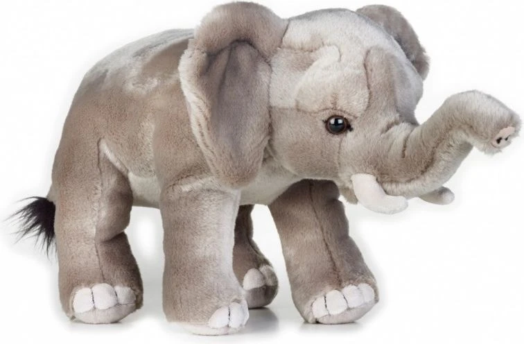 Dante pliušinis žaislas National Geographic Afrikos dramblys pilkas 25 cm (003-70717)
