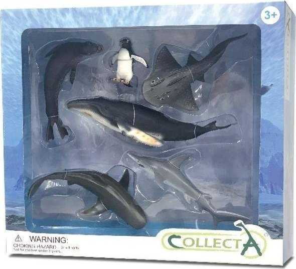 Figūrėlė Collecta Zwierzęta morskie komplektas 6 el.