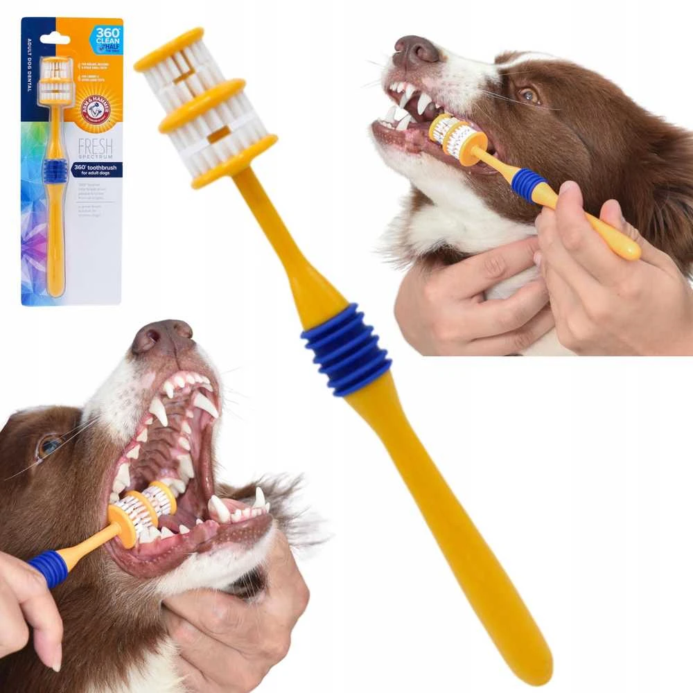 DANTŲ ŠEPETĖLIS „ARM AND HAMMER 360“ SUAUGUSIEMS, VIDUTINIS