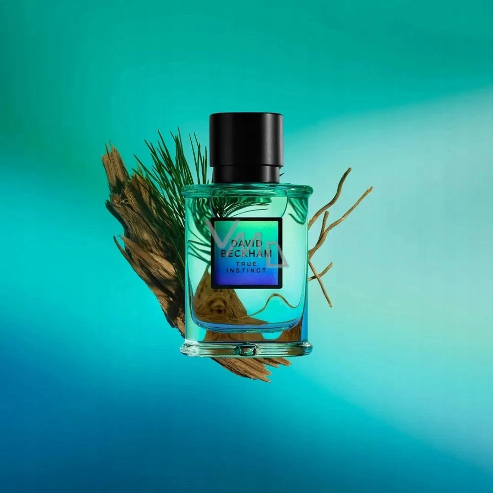 David Beckham True Instinct EDP parfumuotas vanduo vyrams, 75 ml