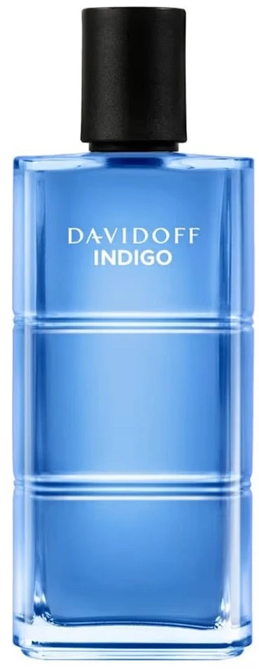 Davidoff Indigo tualetinis vanduo purškiklis 110 ml