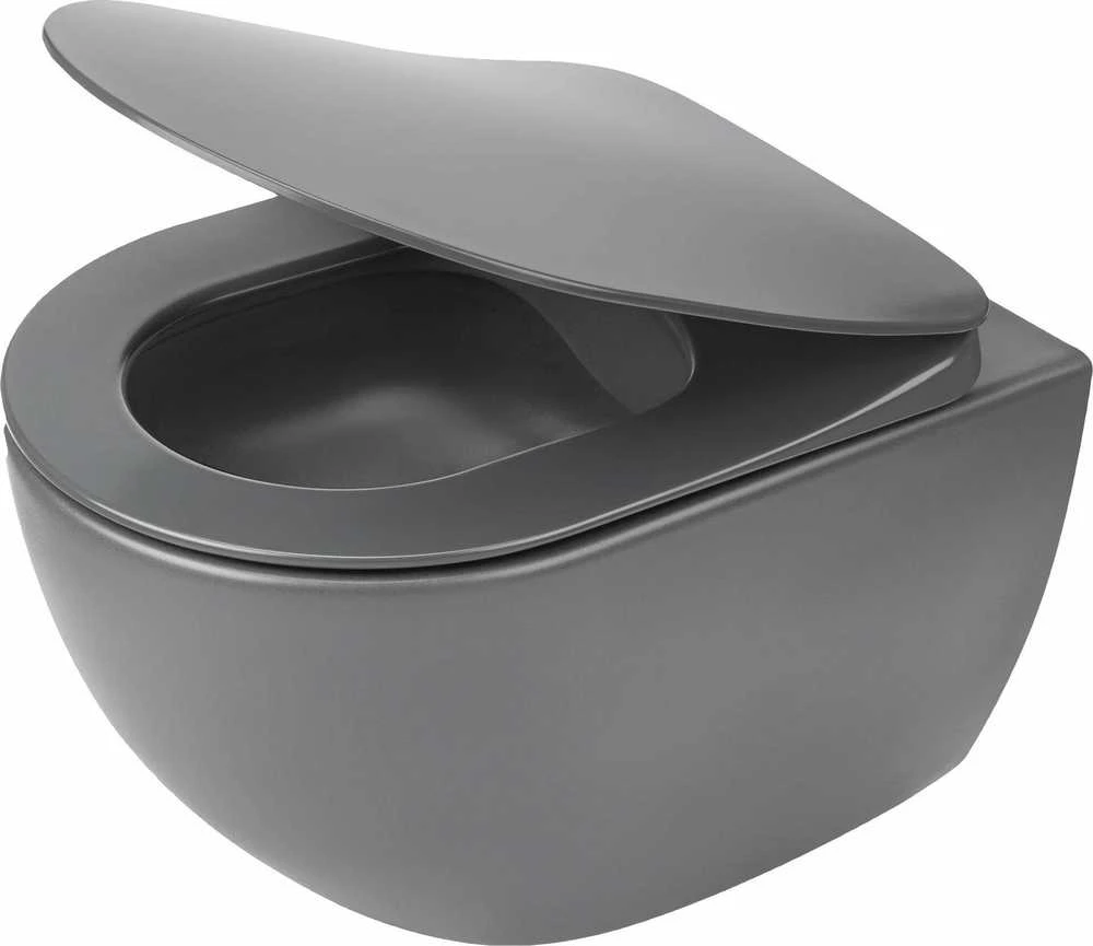 Klozetas Deante Peonia Rimless su lėtai nusileidžiančiu dangčiu, Anthracite/titanium