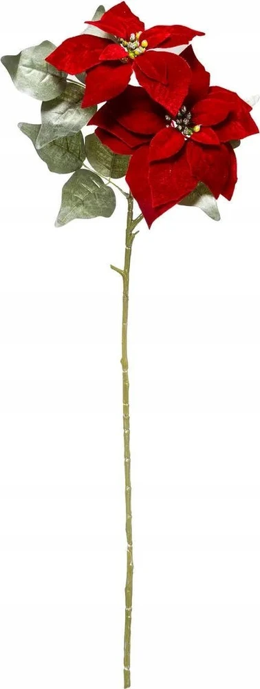 Atmosphera Star Betliejaus žvaigždė, gėlė nendrėms, 75 cm